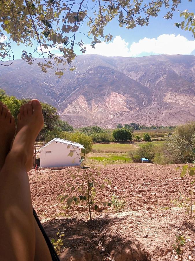 Dormir Con Llamas Maimará Eksteriør billede