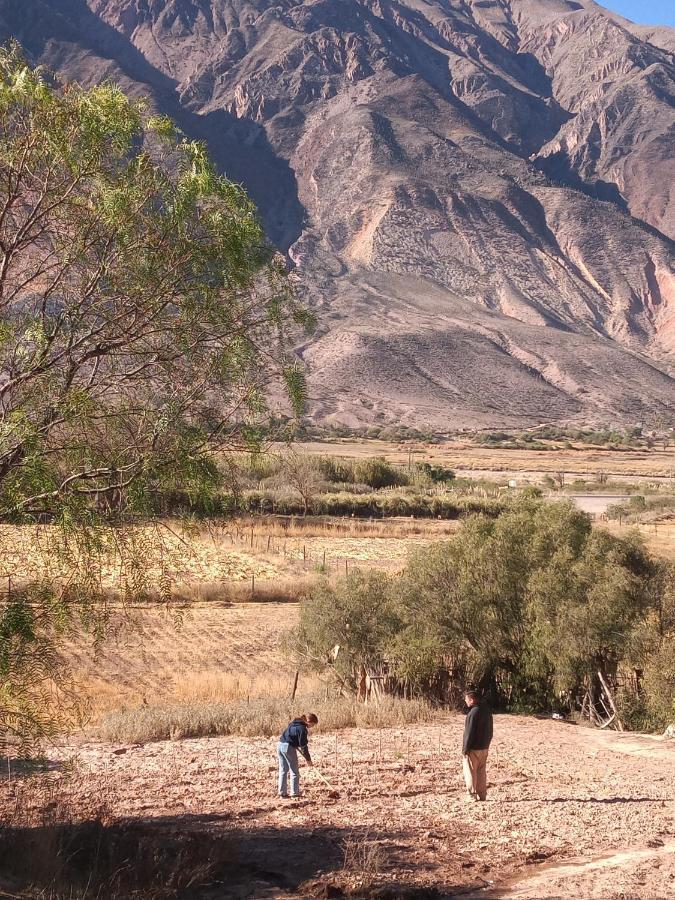Dormir Con Llamas Maimará Eksteriør billede