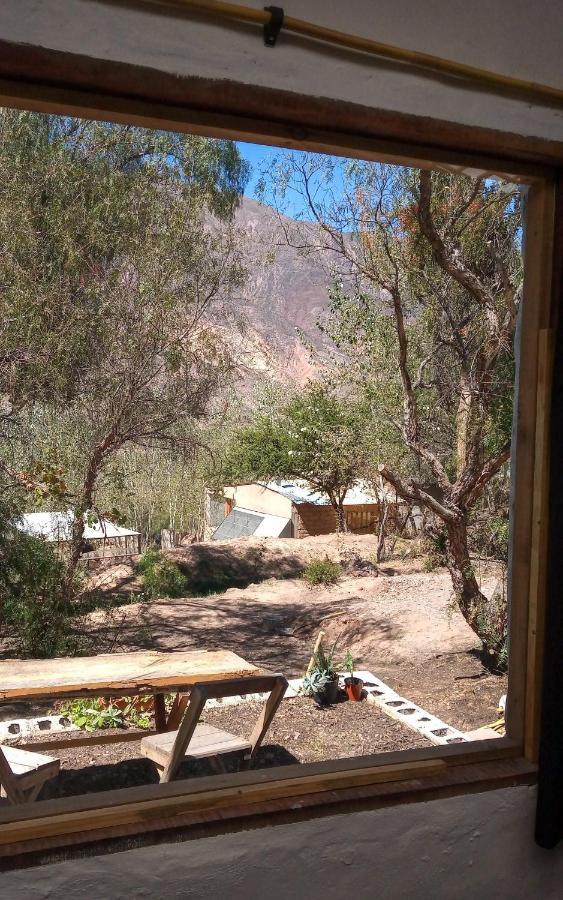 Dormir Con Llamas Maimará Eksteriør billede