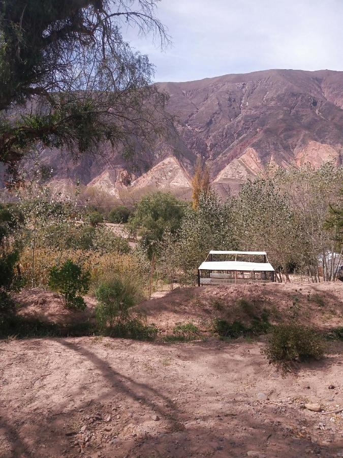 Dormir Con Llamas Maimará Eksteriør billede
