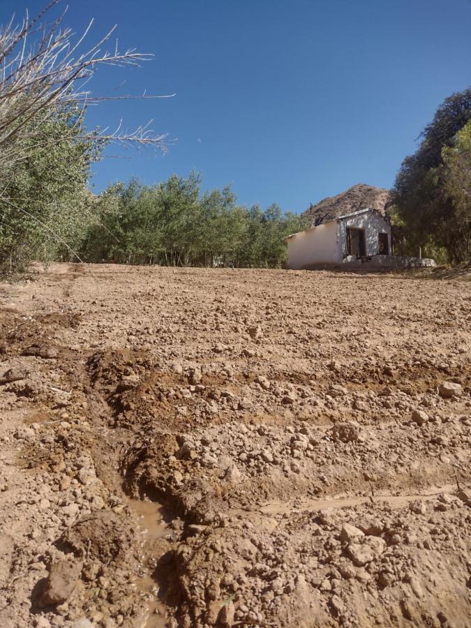 Dormir Con Llamas Maimará Eksteriør billede