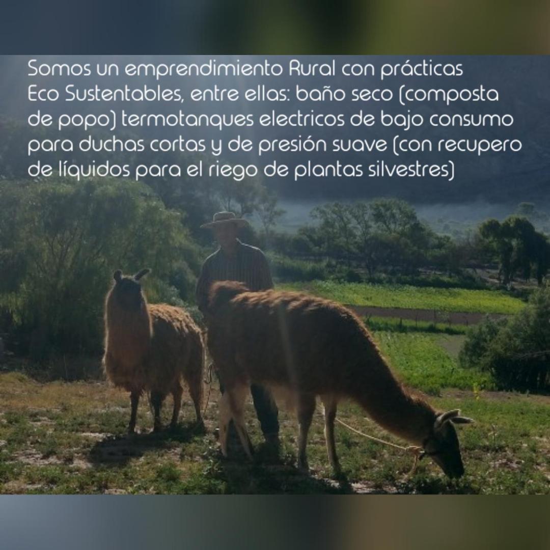 Dormir Con Llamas Maimará Eksteriør billede