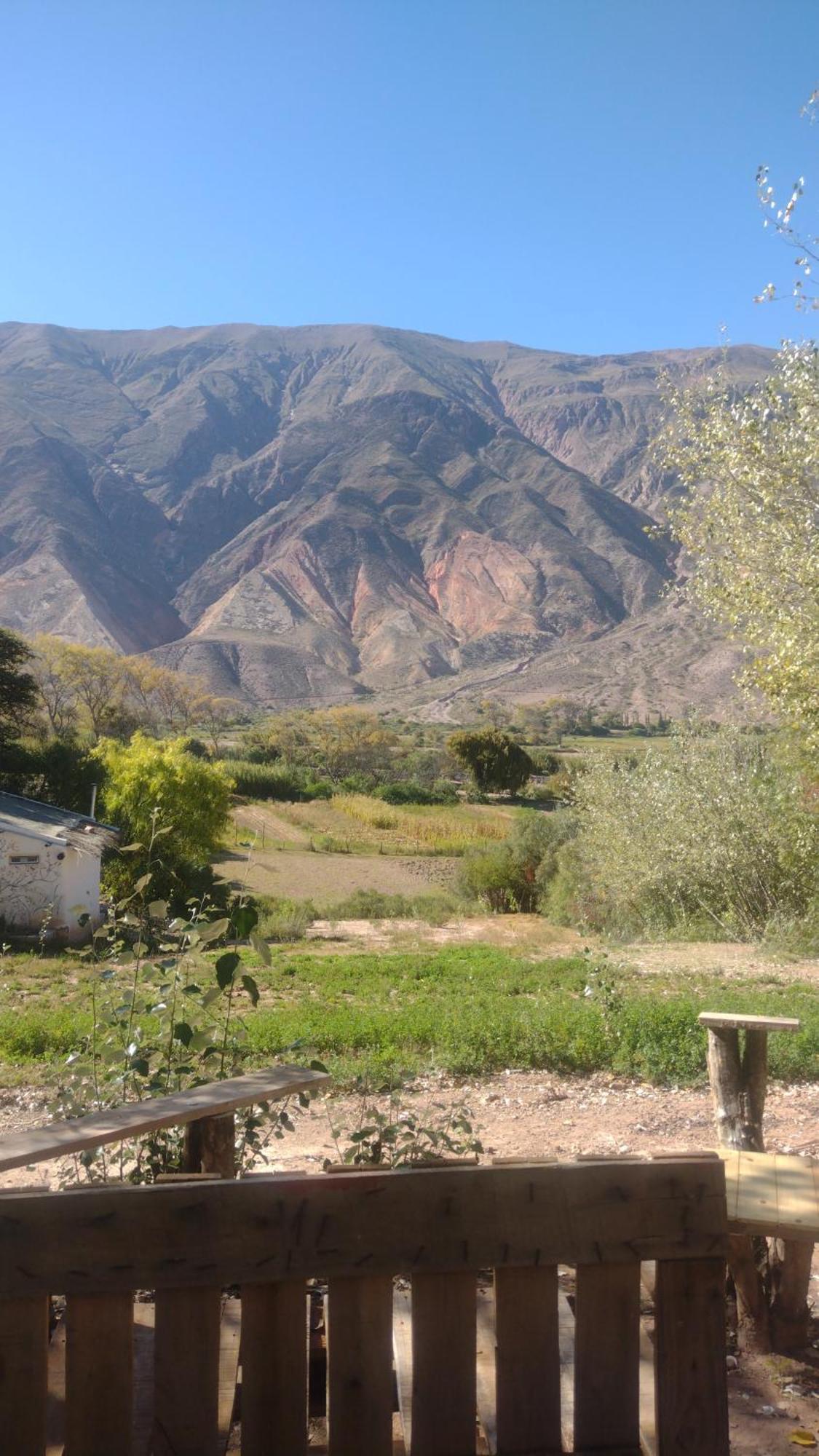 Dormir Con Llamas Maimará Eksteriør billede